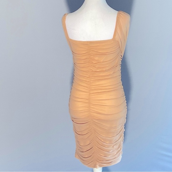 Fashion Sz Sm, Sheer Mesh, Nude, Ruched Long Sleeve Dress, Deep Square Neckline - Picture 11 of 16